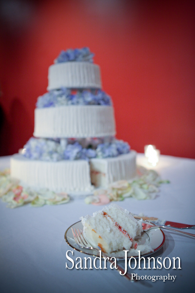 Best New Orleans wedding photographer - Sandra Johnson (SJFoto.com)